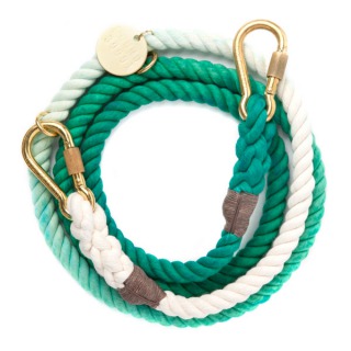 Teal-Ombre-Rope-Leash-Adjustable.jpg